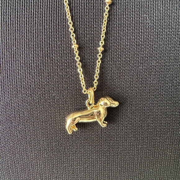 LC Lauren Conrad Jewelry - LC Lauren Conrad Gold Dog Pendant Necklace